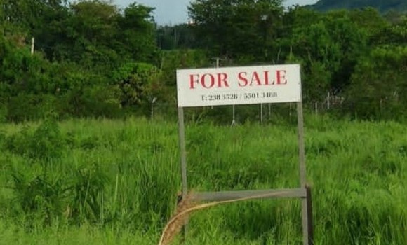  Bien à vendre - Terrain agricole -   